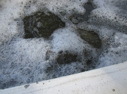 Blick in den Container